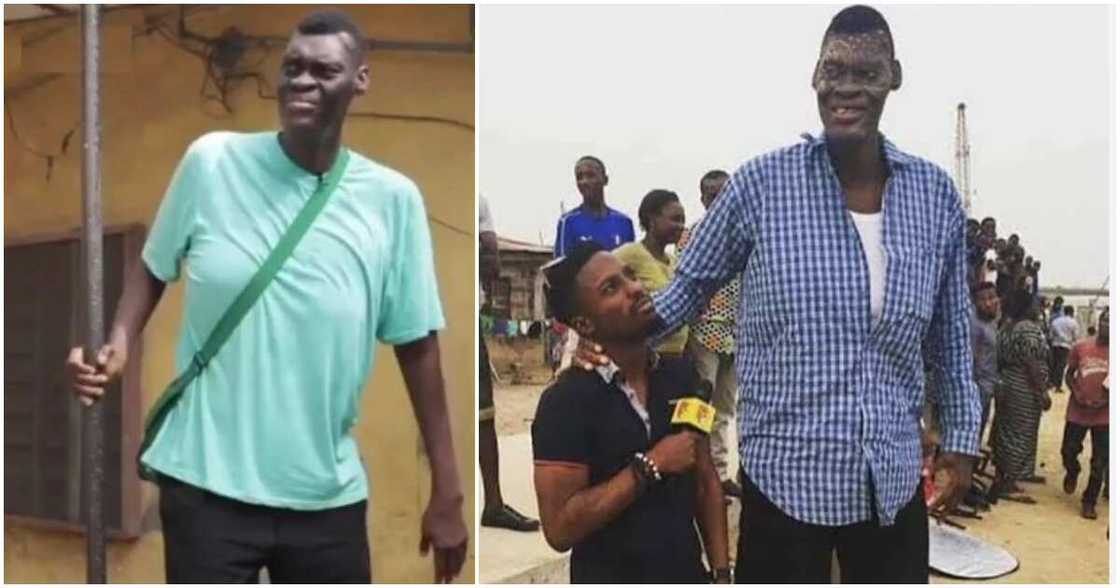 Nigeria's tallest man Afeez Agoro is dead at 48. Nigeria's tallest man Afeez Agoro is dead at 48.