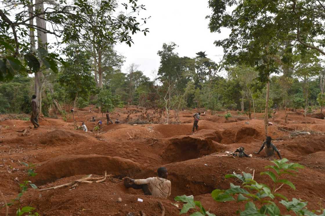 Gold production shot up from 13 to 51 tonnes between 2012 and 2023 Gold production shot up from 13 to 51 tonnes between 2012 and 2023