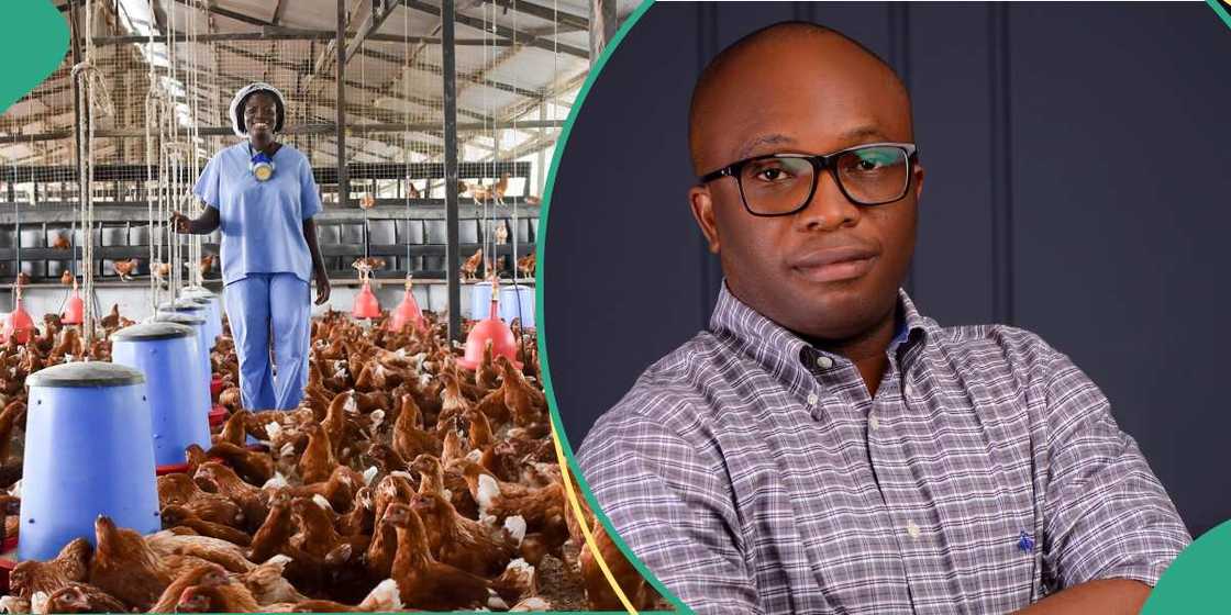 Mfon Uwa, Yiieldy Fiidz app Mfon Uwa, Yiieldy Fiidz app