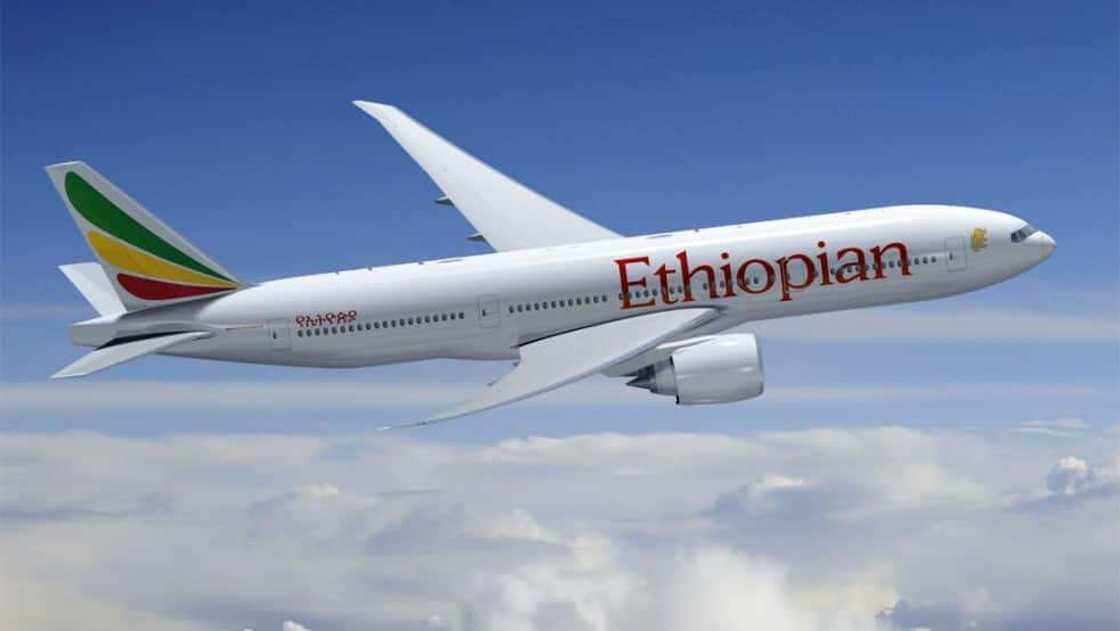 Ethiopian Airlines' flight headed to Kenya crashes with 149 on board Ethiopian Airlines' flight headed to Kenya crashes with 149 on board