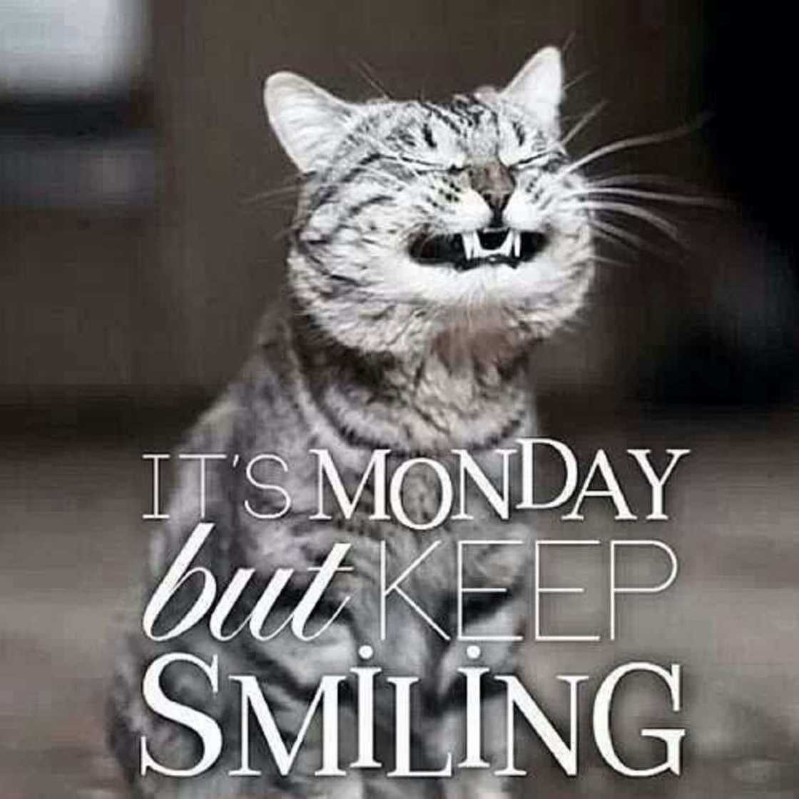 Good morning memes Good morning memes