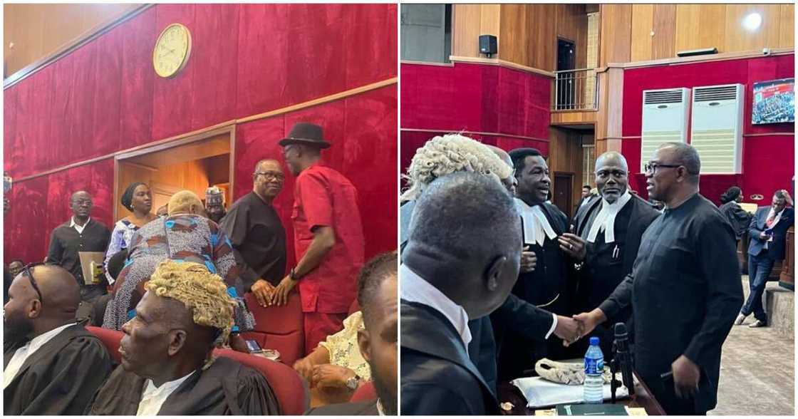 Peter Obi/Peter Obi news/Labour Party/ tribunal Peter Obi/Peter Obi news/Labour Party/ tribunal