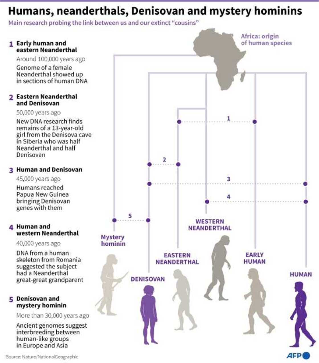 Humans, neanderthals, Denisovan and mystery hominins Humans, neanderthals, Denisovan and mystery hominins