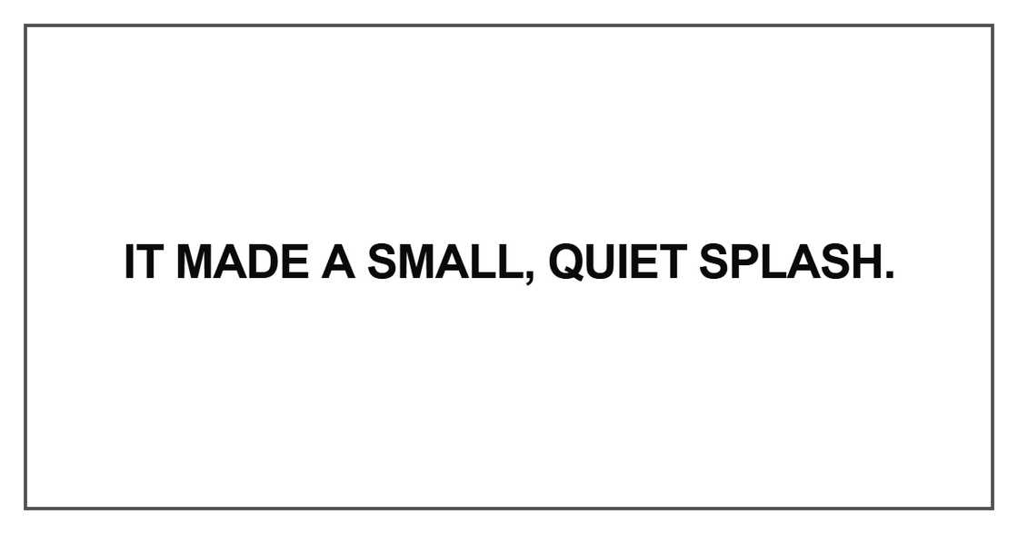 It made a small, quiet splash It made a small, quiet splash