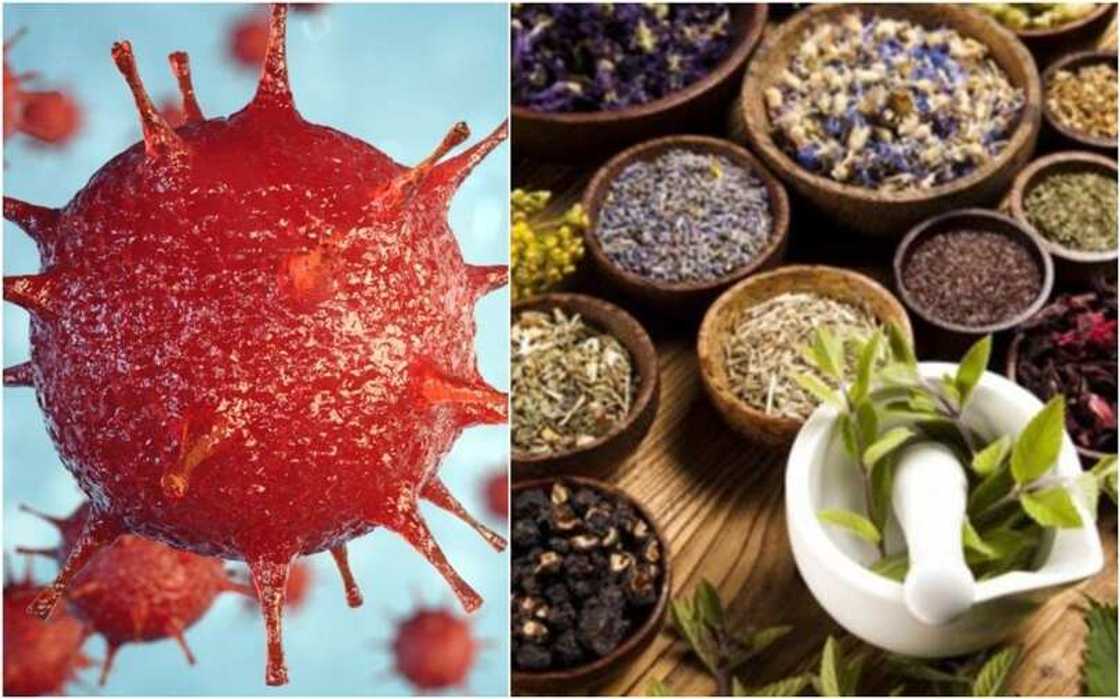 Da duminsa: Kamfanin Pfizer ya samar da riga-kafin cutar korona Da duminsa: Kamfanin Pfizer ya samar da riga-kafin cutar korona