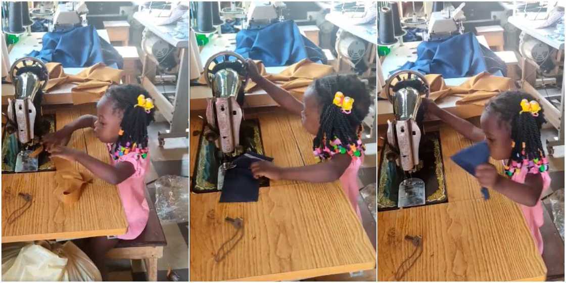 Little Nigerian girl displays tailoring skills as she operates machine like a pro in cute video, many hail her Little Nigerian girl displays tailoring skills as she operates machine like a pro in cute video, many hail her
