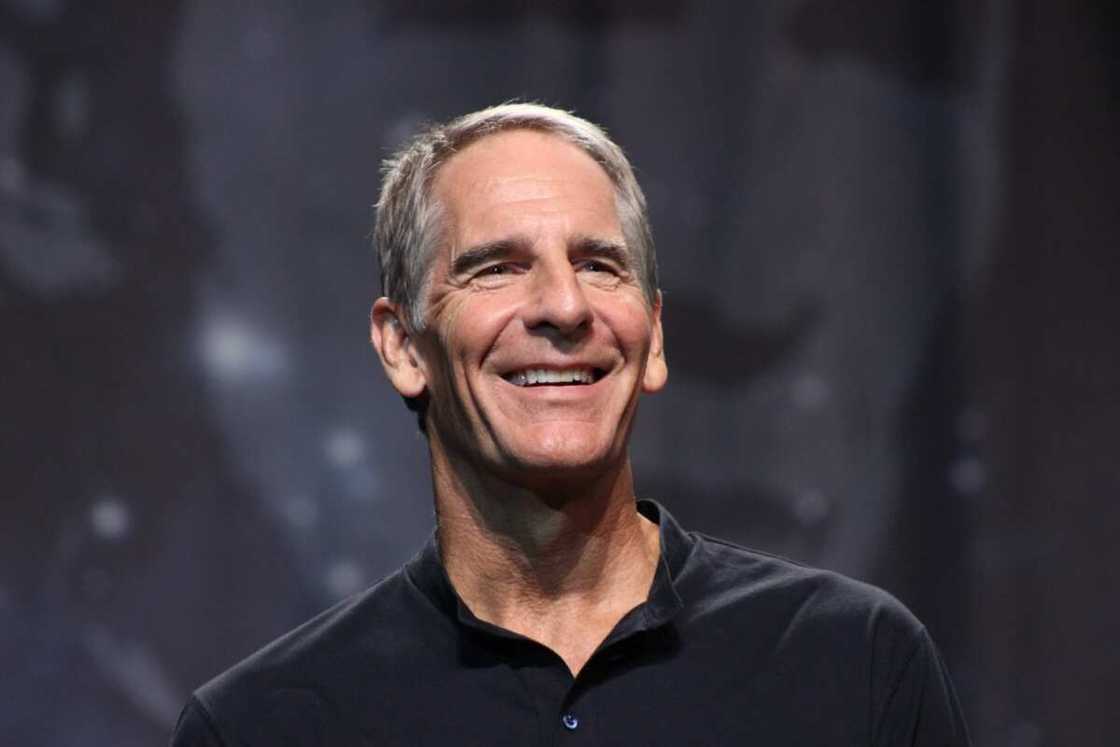 cast of ncis new orleans cast of ncis new orleans