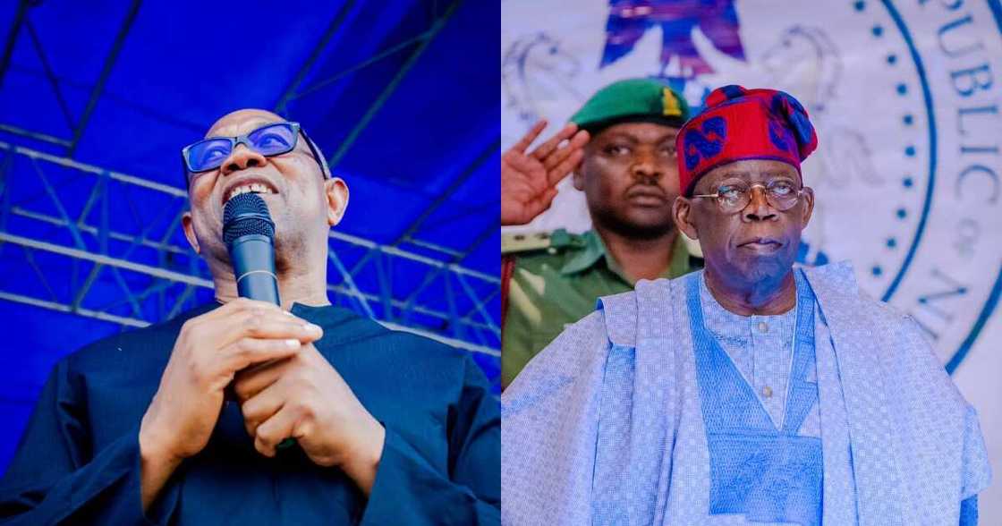 Obi, Tinubu, Tribunal Obi, Tinubu, Tribunal