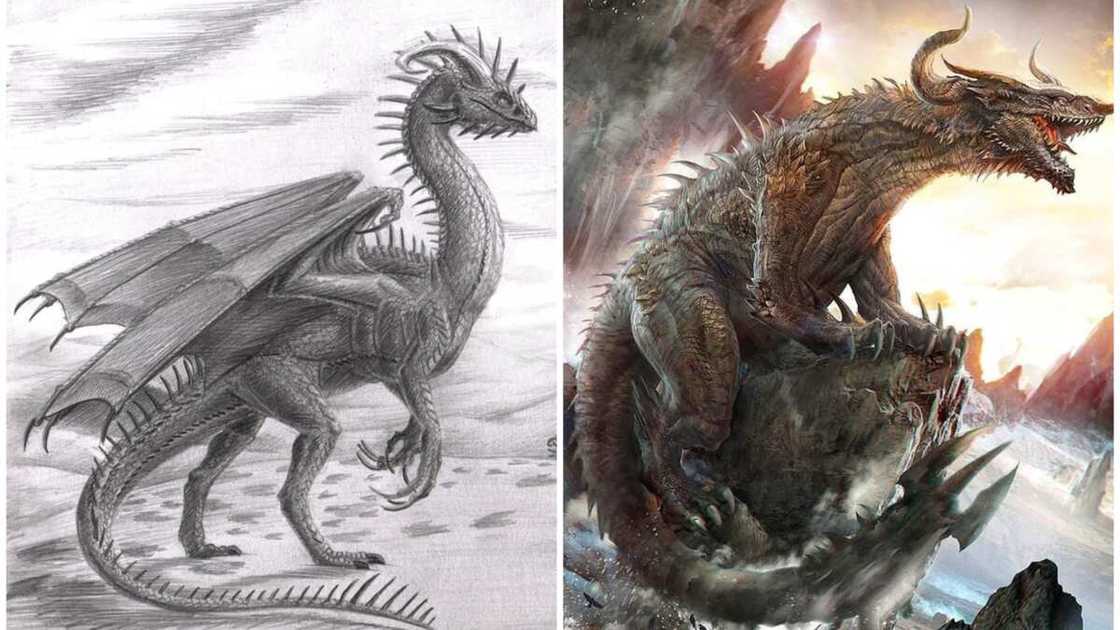 Types of dragons Types of dragons