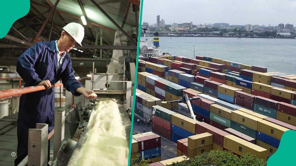 FG worried as Data shows Nigeria only produces 4% of sugar consumed FG worried as Data shows Nigeria only produces 4% of sugar consumed