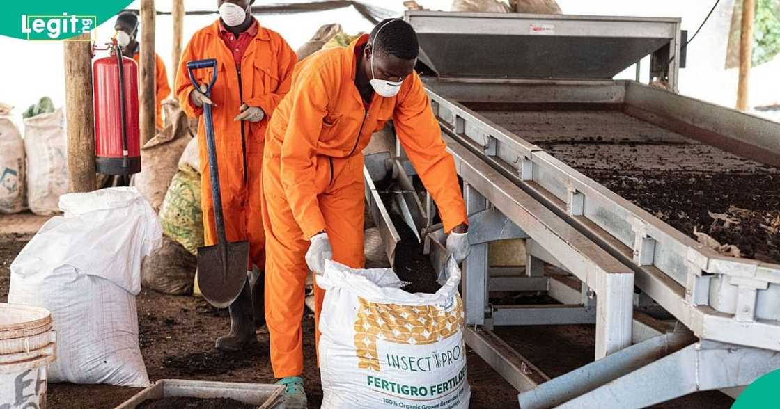 FG targets 2 million farmers with fertiliser support and guaranteed minimum prices