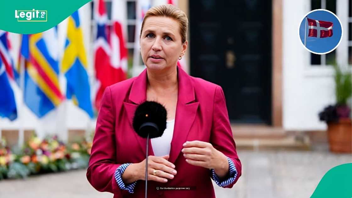 Denmark reveals 4 groups of foreigners who do not need a work permit in the country