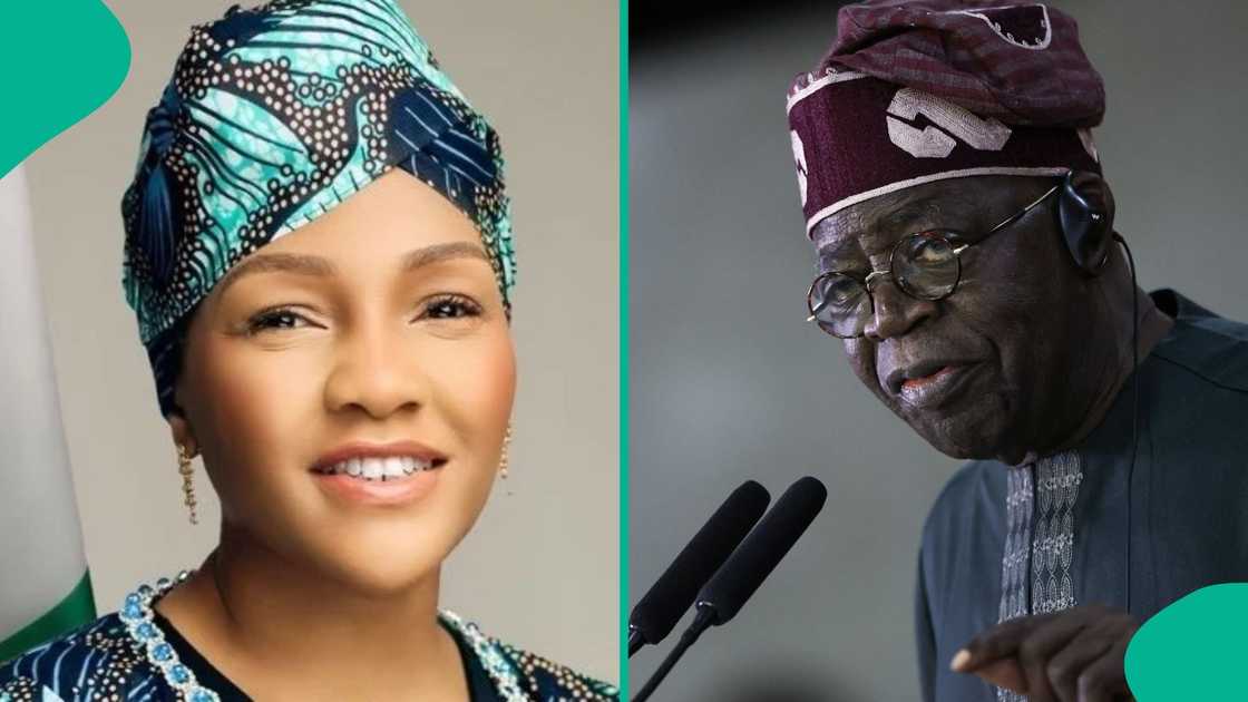 A PEBEC official has praised Tinubu’s leadership. A PEBEC official has praised Tinubu’s leadership.