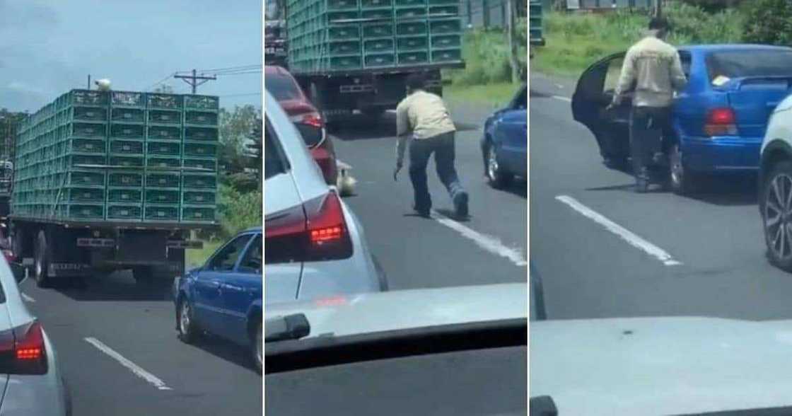 Nando's hilariously reacts to video of man stealing chicken in traffic Nando's hilariously reacts to video of man stealing chicken in traffic