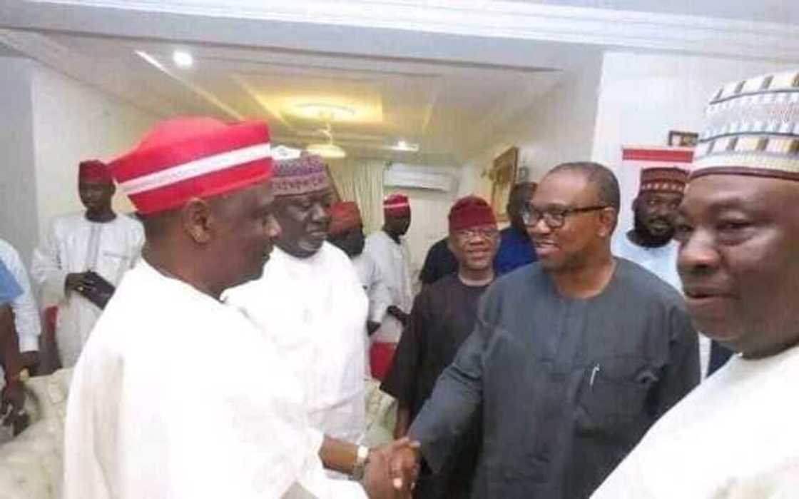 Peter Obi Could Have Been My Running Mate if He Joined NNPP, Kwankwaso Declares Peter Obi Could Have Been My Running Mate if He Joined NNPP, Kwankwaso Declares