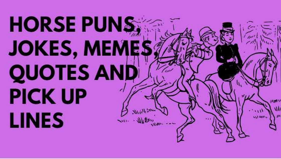 horse puns horse puns