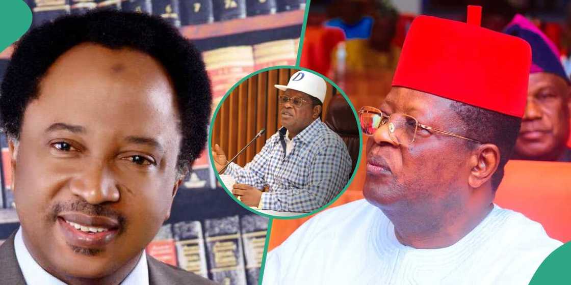 Bola Tinubu, Shehu Sani, David Umahi