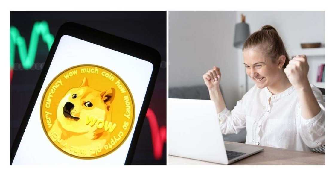 Elon Musk, Twitter, Dogecoin, Crypto Elon Musk, Twitter, Dogecoin, Crypto