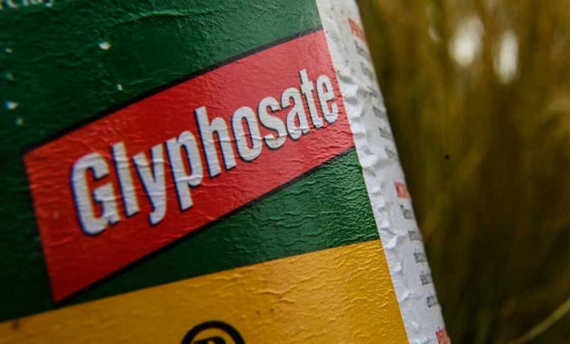 The weedkiller glyphosate is one of the most popular herbicides in the world The weedkiller glyphosate is one of the most popular herbicides in the world