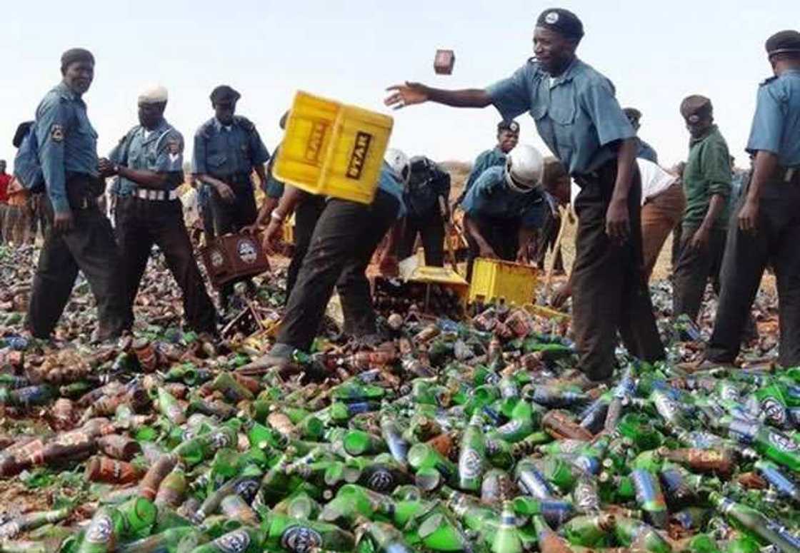 Hisbah ta kama katon din giya 3,600 da aka boye cikin buhunan abincin kaji a Kano