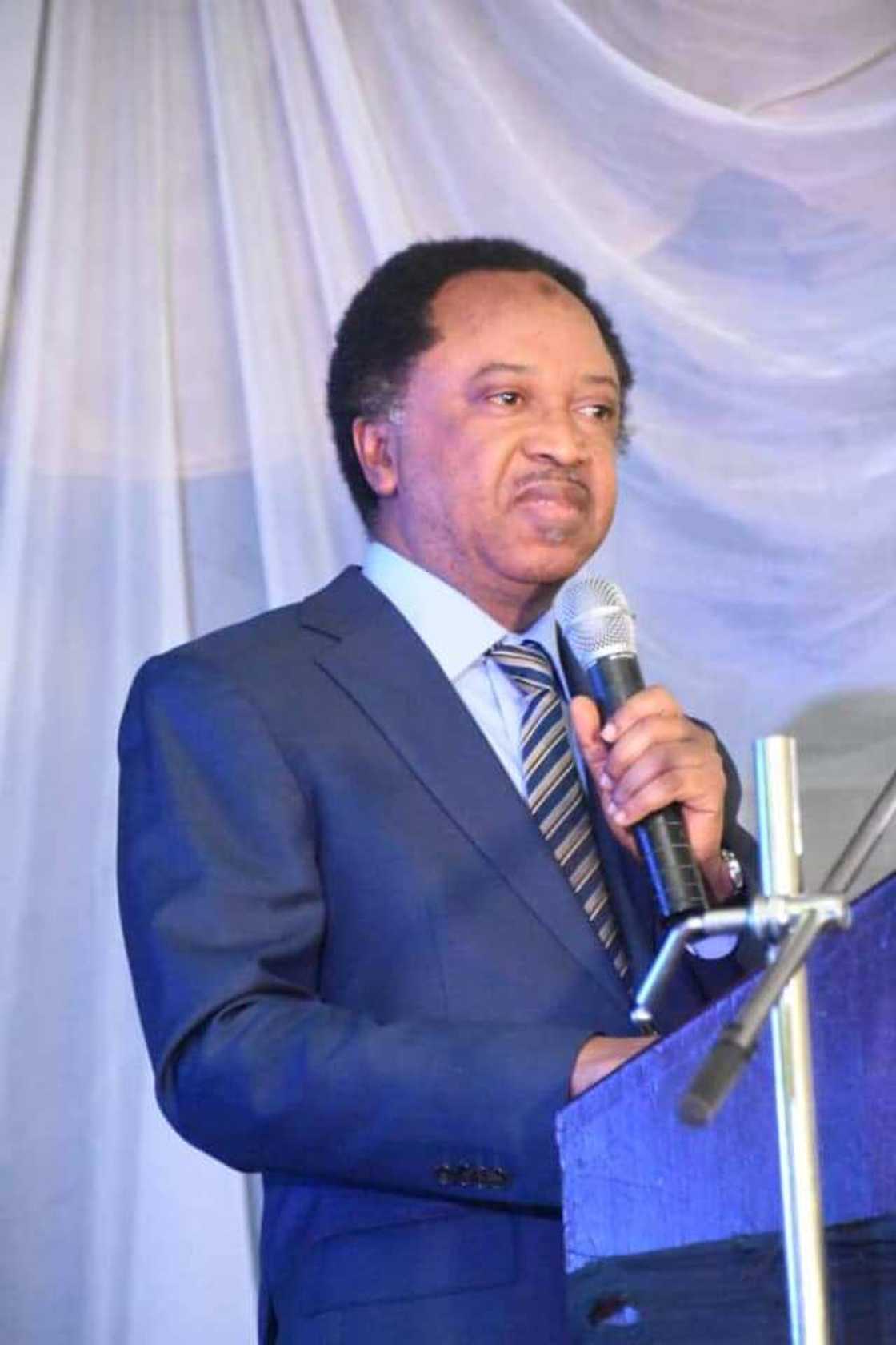 Insecurity: Shehu Sani says Nigerians have now become refugees in other countries Insecurity: Shehu Sani says Nigerians have now become refugees in other countries