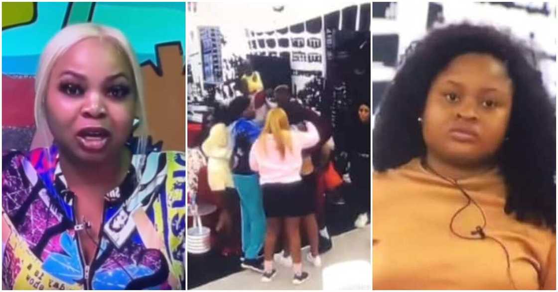 BBNaija's Diana reacts to Amaka's eviction, calls housemates hypocrites. BBNaija's Diana reacts to Amaka's eviction, calls housemates hypocrites.