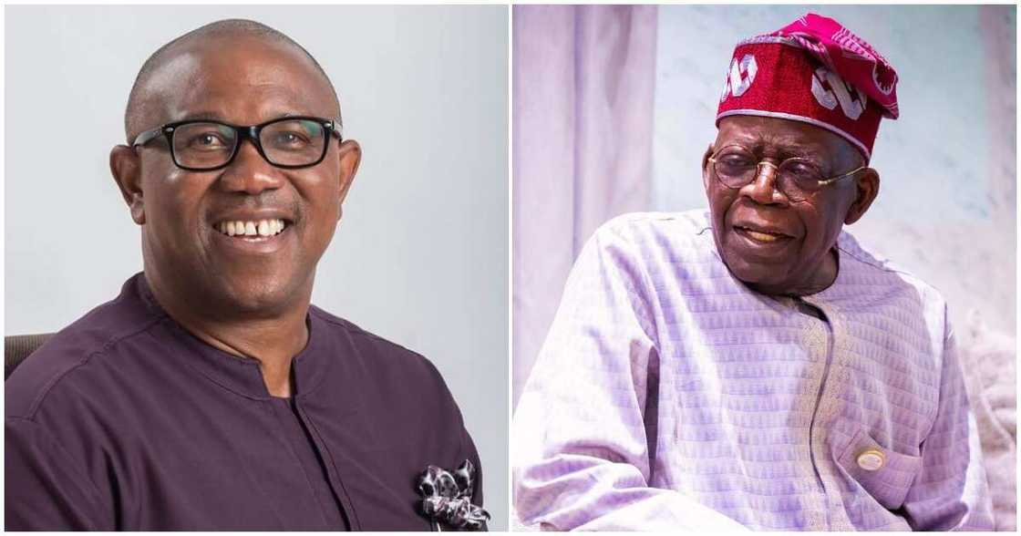 Peter Obi vs Bola Tinubu/Tribunal