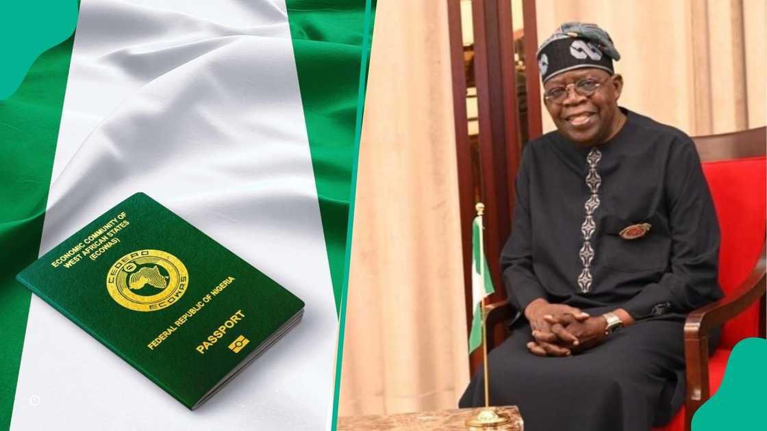 FG to review Nigerian visa application process FG to review Nigerian visa application process