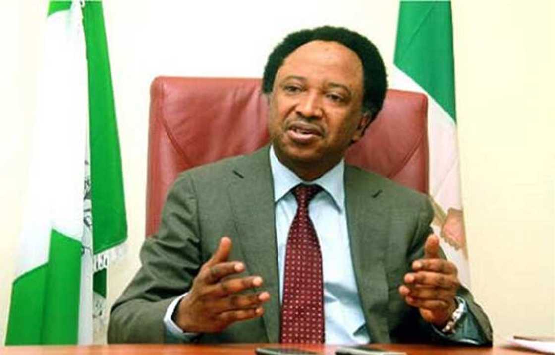 Shehu Sani: Yajin aikin likitoci ba fa na dibobin tanka bane, a dai duba