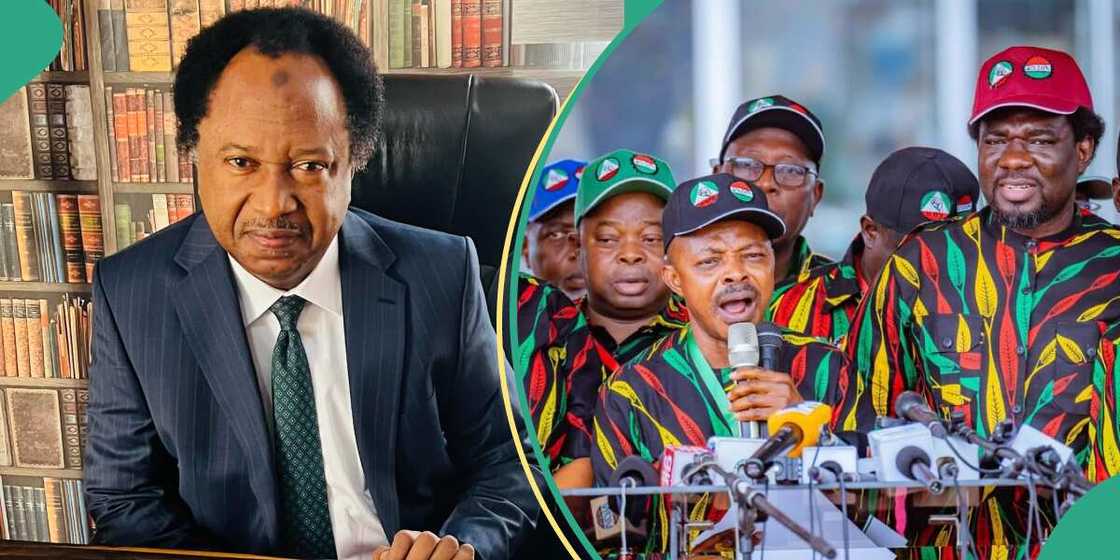 Shehu Sani explains meaning of N62K new minimum wage proposal