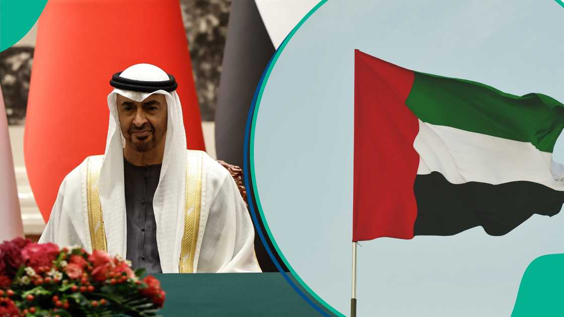 UAE publishes 6 simple steps to establish business in Dubai, other emirates