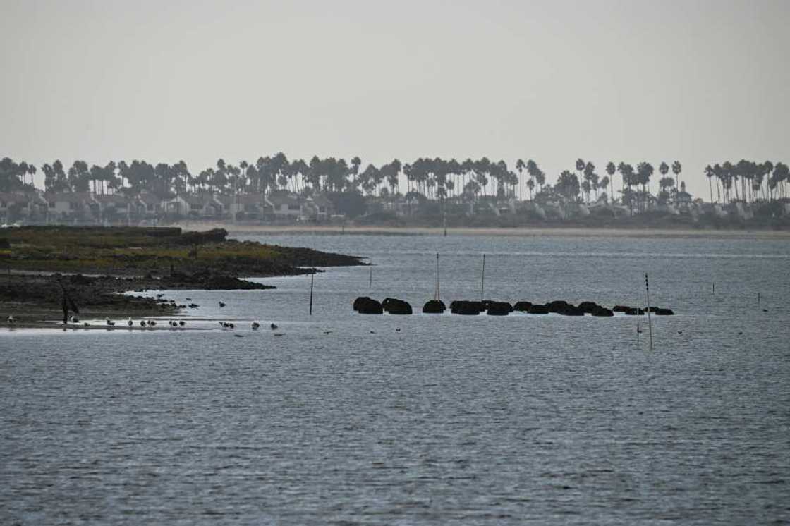 The reef balls seen here form the South Bay Native Oyster Living Shoreline Project near Chula Vista, California The reef balls seen here form the South Bay Native Oyster Living Shoreline Project near Chula Vista, California