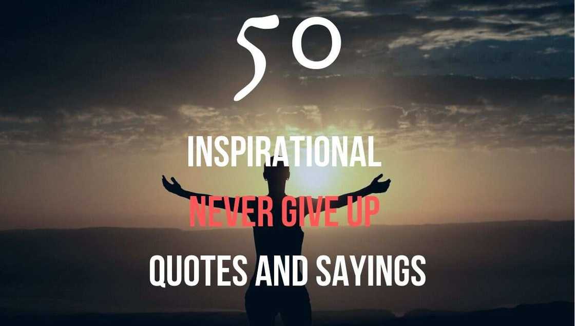 Never give up quotes