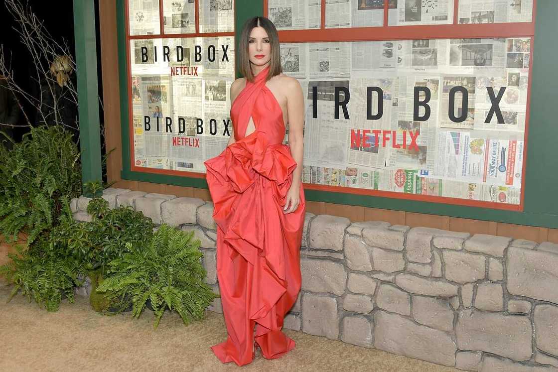 L'actrice Sandra Bullock assiste à la projection de "Bird Box" à New York à l'Alice Tully Hall, Lincoln Center le 17 décembre 2018 à New York. (Photo de Michael Loccisano) L'actrice Sandra Bullock assiste à la projection de "Bird Box" à New York à l'Alice Tully Hall, Lincoln Center le 17 décembre 2018 à New York. (Photo de Michael Loccisano)