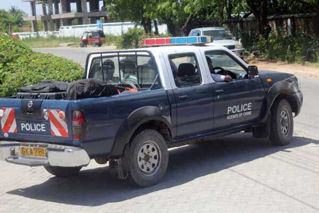 Mombasa police officers arrest man smuggling 10kg python Mombasa police officers arrest man smuggling 10kg python
