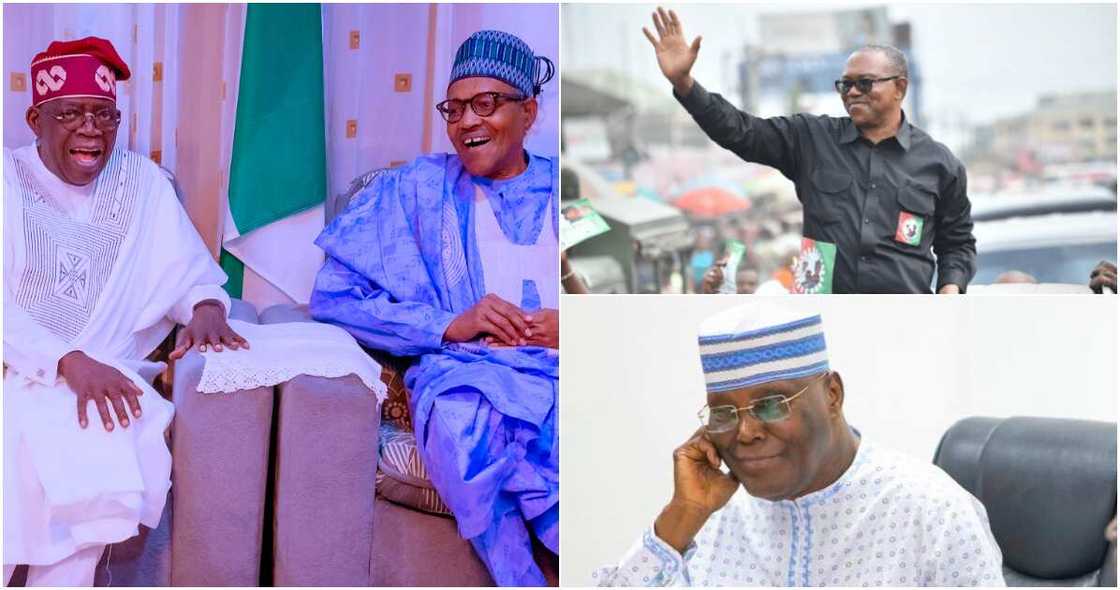Peter Obi/Muhammadu Buhari/Atiku Abubakar/Peter Obi/PDP/APC/2023 Election/Southeast Peter Obi/Muhammadu Buhari/Atiku Abubakar/Peter Obi/PDP/APC/2023 Election/Southeast