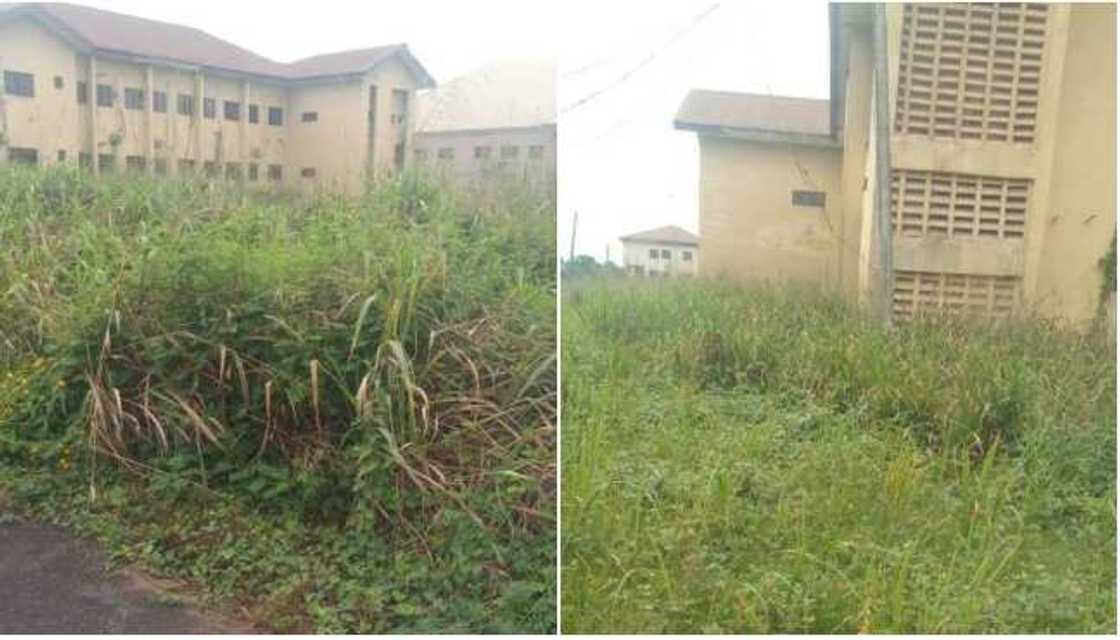 Inside Nigeria's College of Medicine Where Students Reportedly Spend 11 years