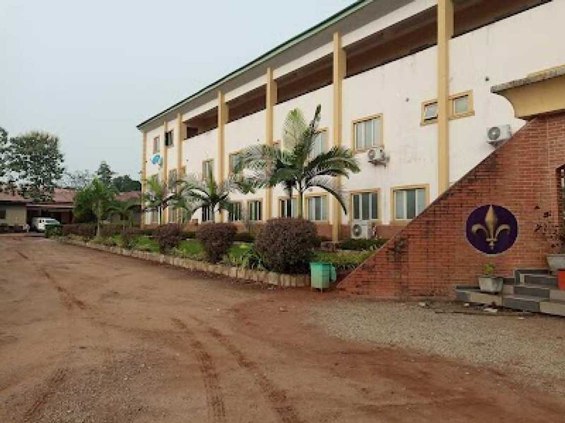 best school in Nigeria best school in Nigeria