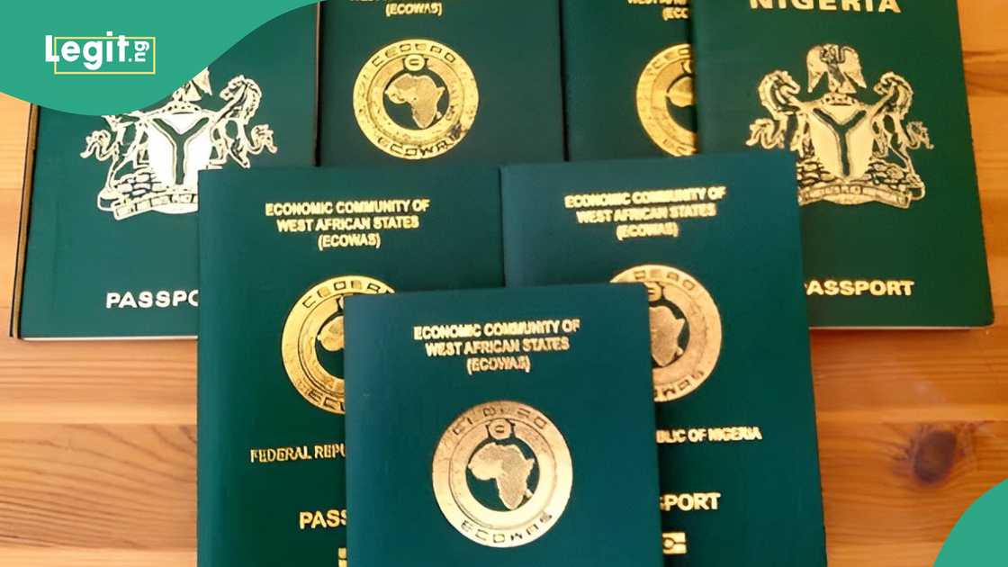 FG announces hike in Nigerian passport fees FG announces hike in Nigerian passport fees