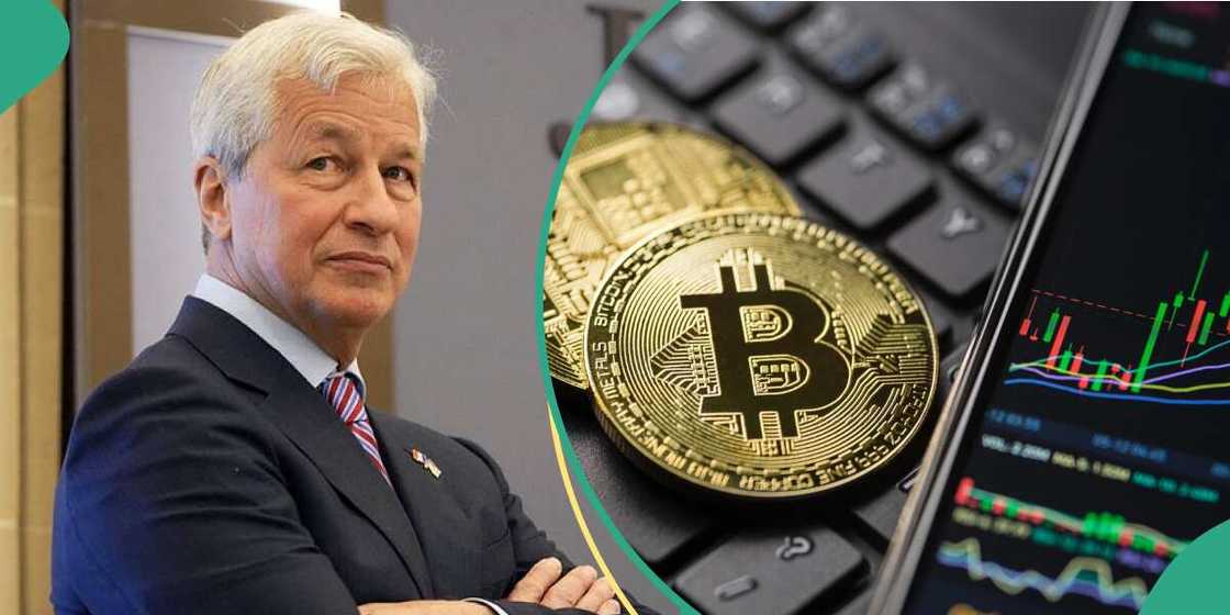 JP Morgan CEO Jamie Dimon renews criticism JP Morgan CEO Jamie Dimon renews criticism