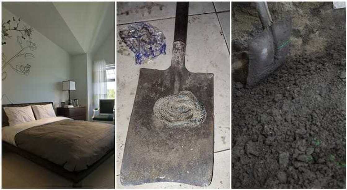 Yadda wasu ahali suka gano an binne maciji a dakin mahaifinsu Yadda wasu ahali suka gano an binne maciji a dakin mahaifinsu