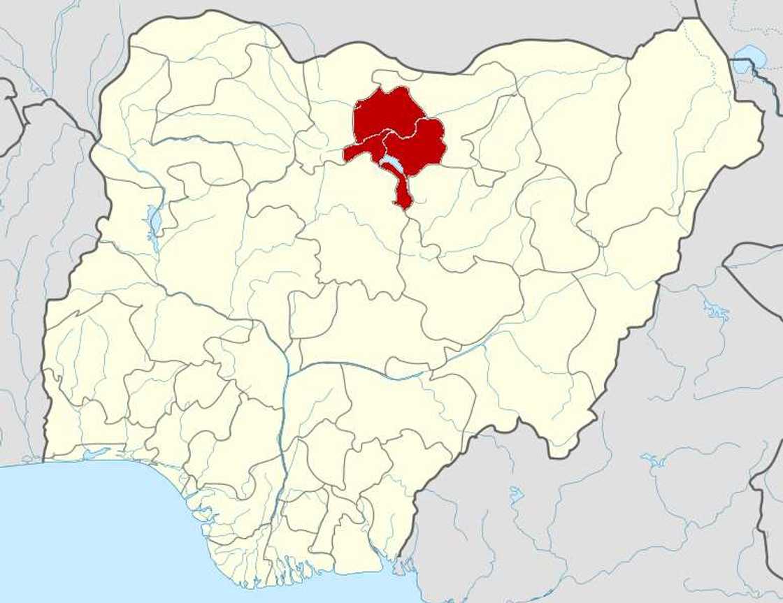 Alleged baby factory: Police arrest, parade professor in Kano Alleged baby factory: Police arrest, parade professor in Kano