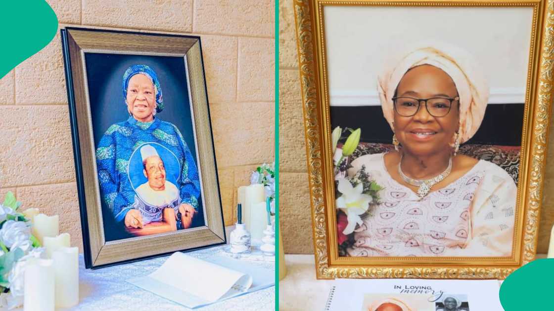 Damian Dodo SAN, Damian Dodo mother, Veronica Rabi Dodo, Shettima, Atiku Abubakar, Ibrahim Babangida, Taraba State Government
