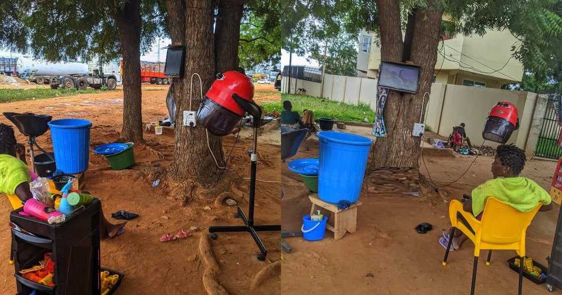 Salon under a tree