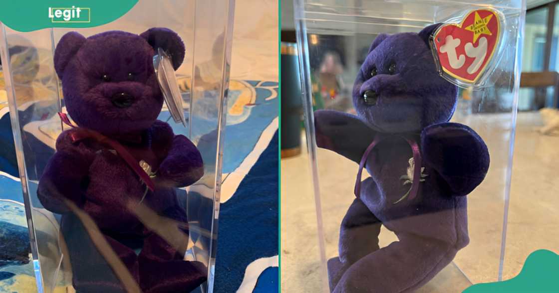 Purple Princess Diana Beanie Baby dolls in their original plastic packaging.