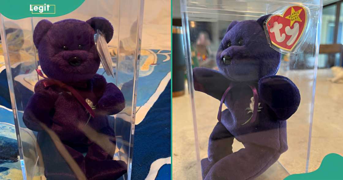 Purple Princess Diana Beanie Baby dolls in their original plastic packaging. Purple Princess Diana Beanie Baby dolls in their original plastic packaging.