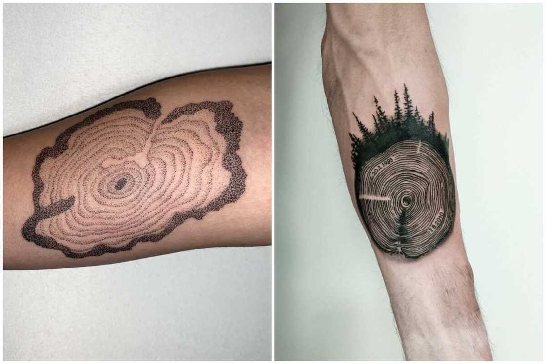 Tattoos that represent growth Tattoos that represent growth