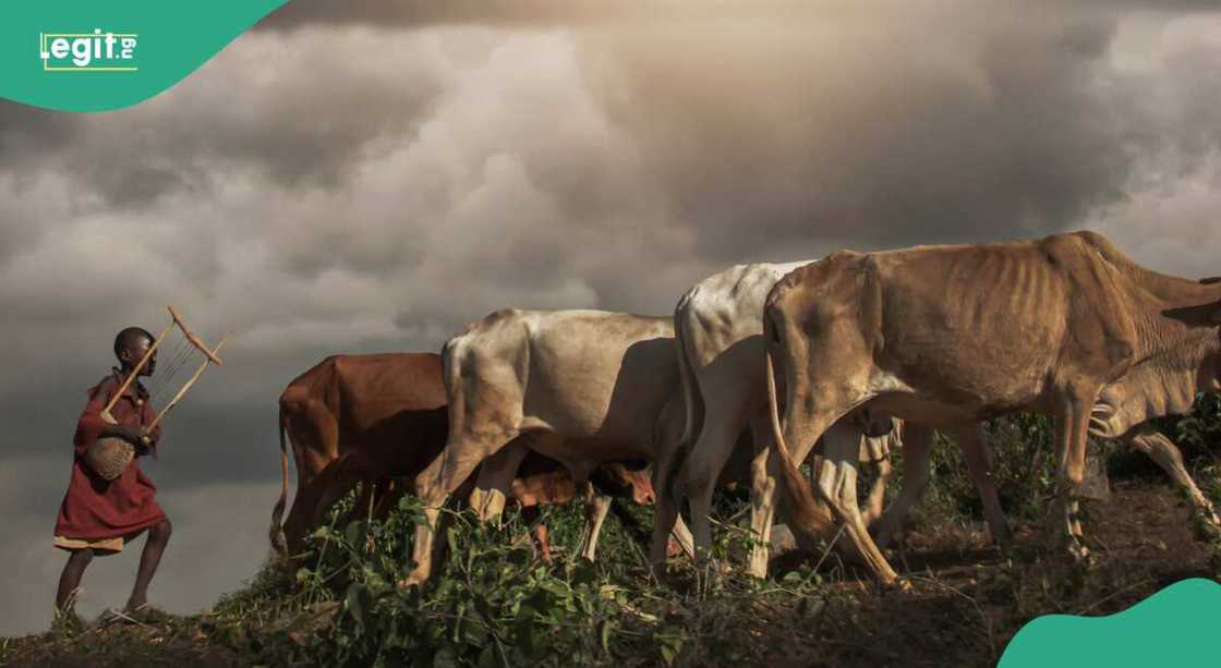 Photo of little boy Photo of little boy