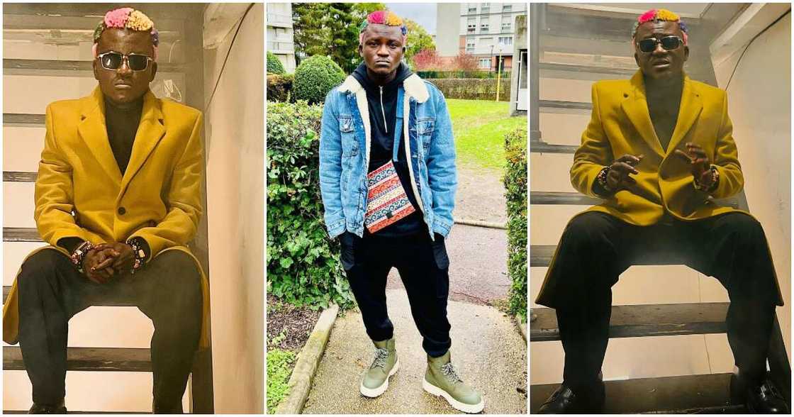 Portable Zazu, France Portable Zazu, France