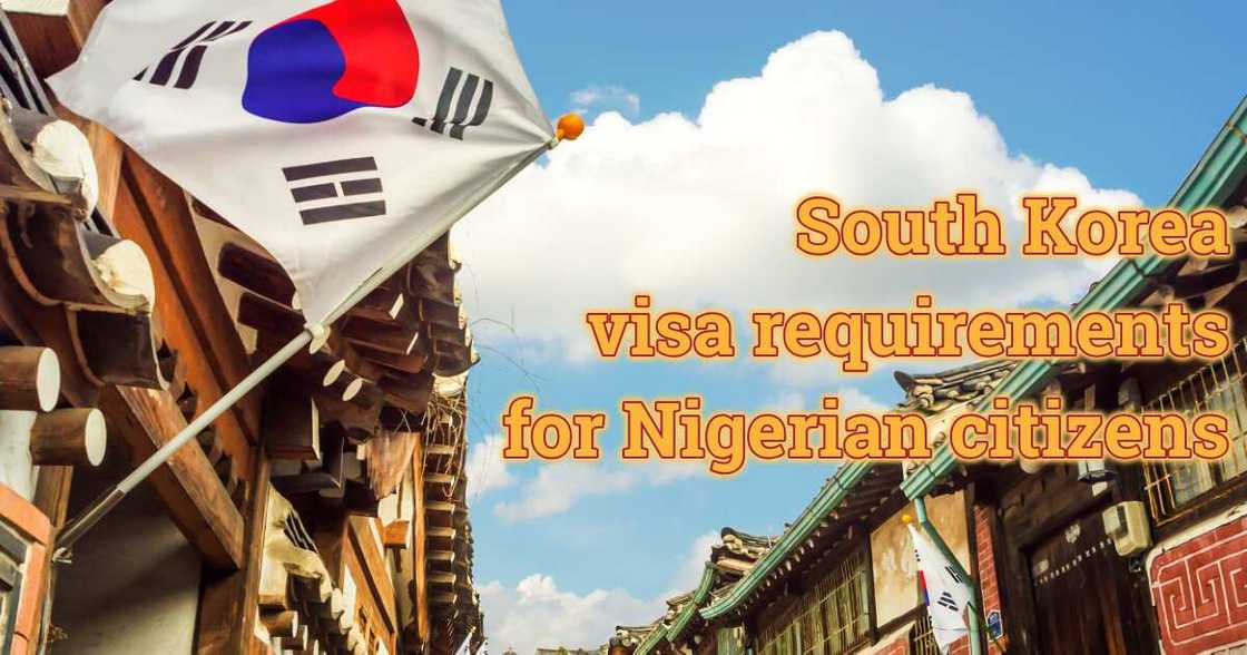 South Korea visa requirements for Nigerian citizens South Korea visa requirements for Nigerian citizens
